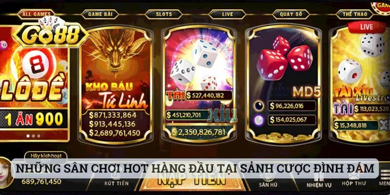 Những sân chơi hot hit hàng đầu tại sảnh cược đình đám